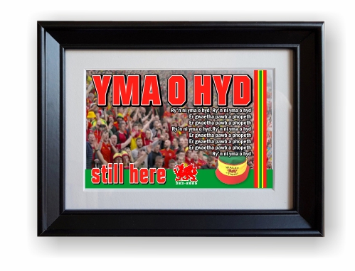 Yma o Hyd, Cardiff City stadium